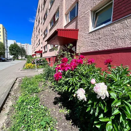 Tiny Paradise Self Check-in Korter