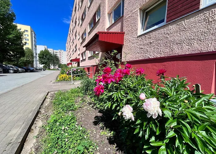 Tiny Paradise Self Check-in Lägenhet